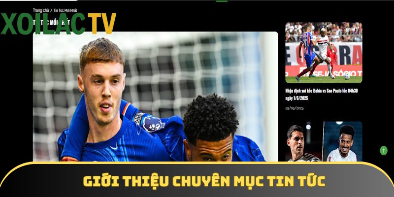 Mục tin tức nâng cao trải nghiệm hội viên